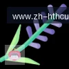 华体会APP logo