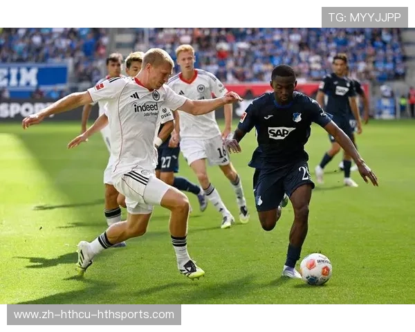 霍芬海姆德甲征程回顾与当前战绩分析